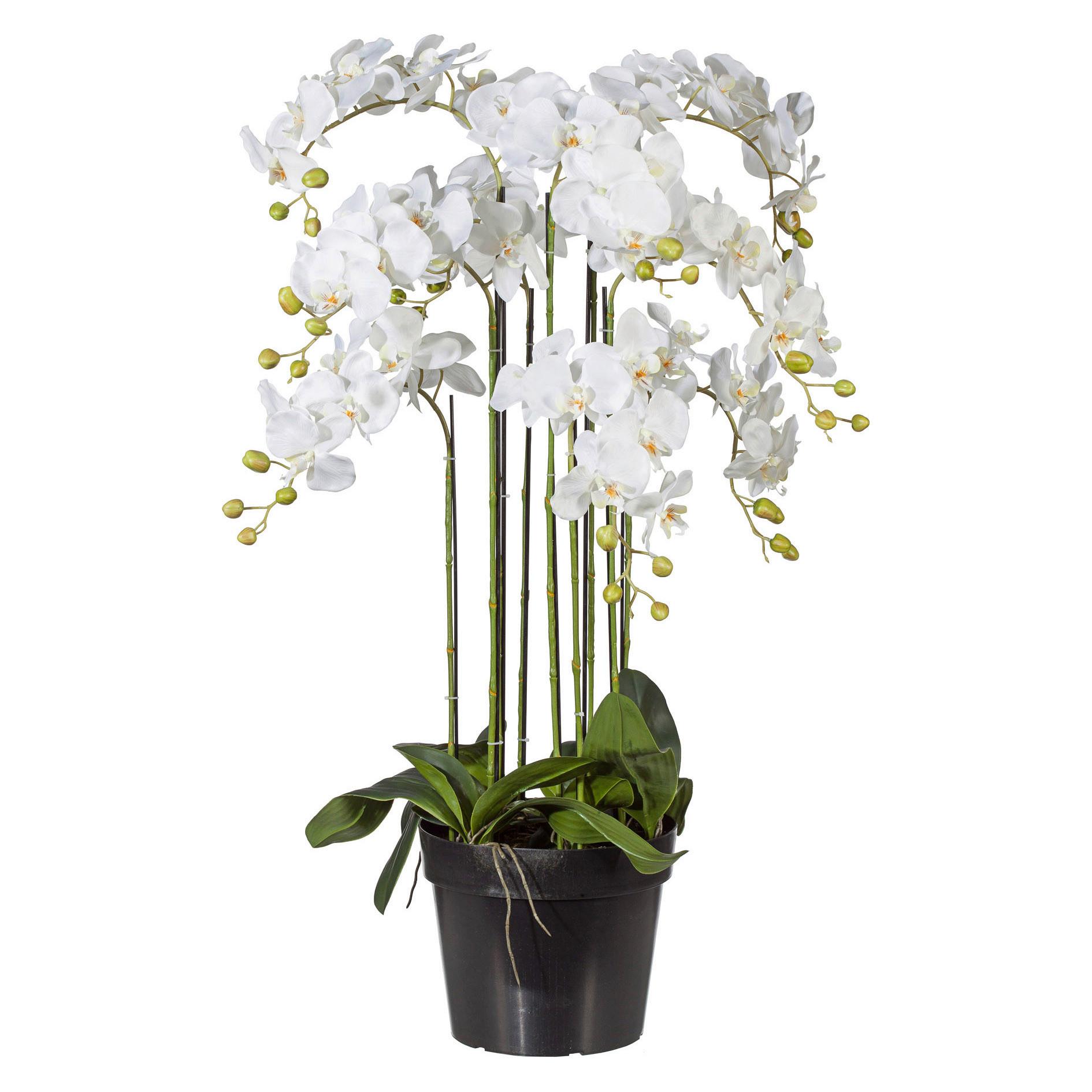 Kunstblume Orchidee ca. 90cm - Weiß/Grün, Basics, Kunststoff (90cm) - P & B