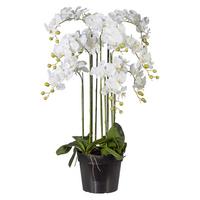 Kunstblume Orchidee ca. 90cm - Weiß/Grün, Basics, Kunststoff (90cm) - P & B