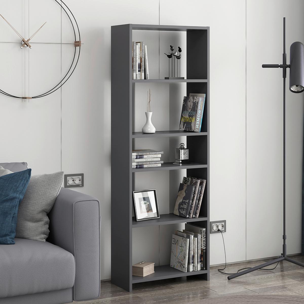Standregal "Diosp", Anthrazit - Anthrazit/Grau, Design, Holzwerkstoff (56,9/160/25cm) - Livetastic