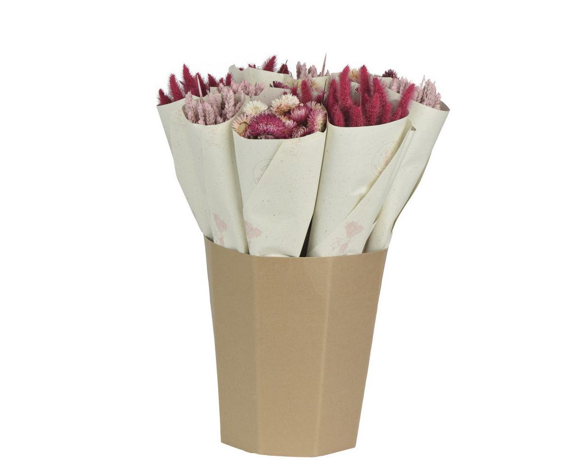 Dekorativno Suho Cvijeće Bloom - Basics (55/25/55cm)