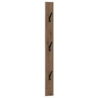 Panou cuier ALADIN - culoare lemn stejar, Modern, material pe bază de lemn (14,5/155/1,6cm) - Modern Living