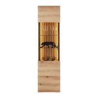 Vitrina Fortuna - antracit, Moderno, kovina/steklo (50/191/38cm) - Premium Living
