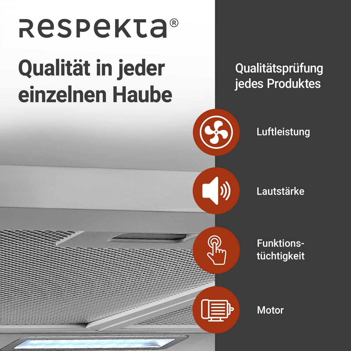 Dunstabzugshaube Nola Edelstahl B: ca. 60 cm - Edelstahlfarben, Trend, Metall (60/58-96/47,5cm) - Respekta