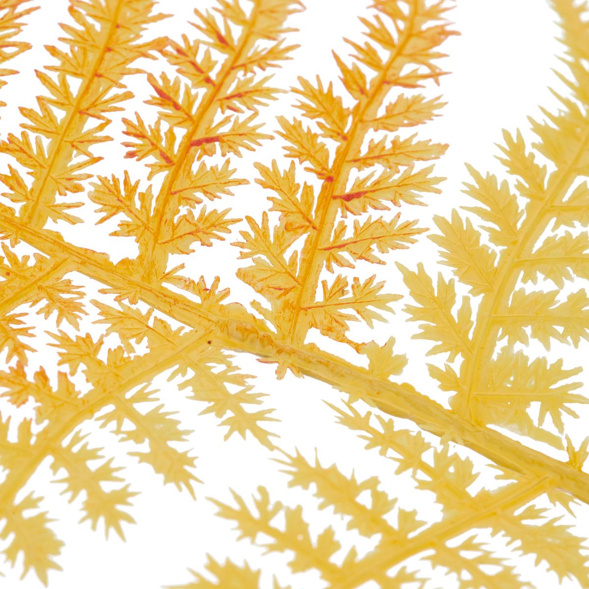 Kunstpflanze Plumosus I Gelb ca. 80cm - Gelb/Creme, Basics, Kunststoff/Metall (80cm) - Mömax