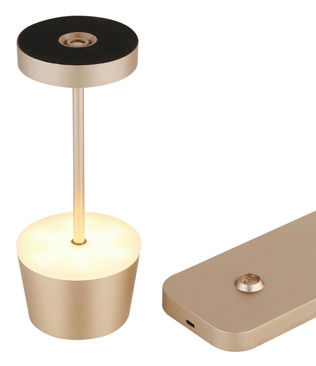 Akku-Tischleuchte Dawson Opal/Champagner - Champagner/Opal, Design, Kunststoff/Metall (8,3/8,3/20cm) - Globo