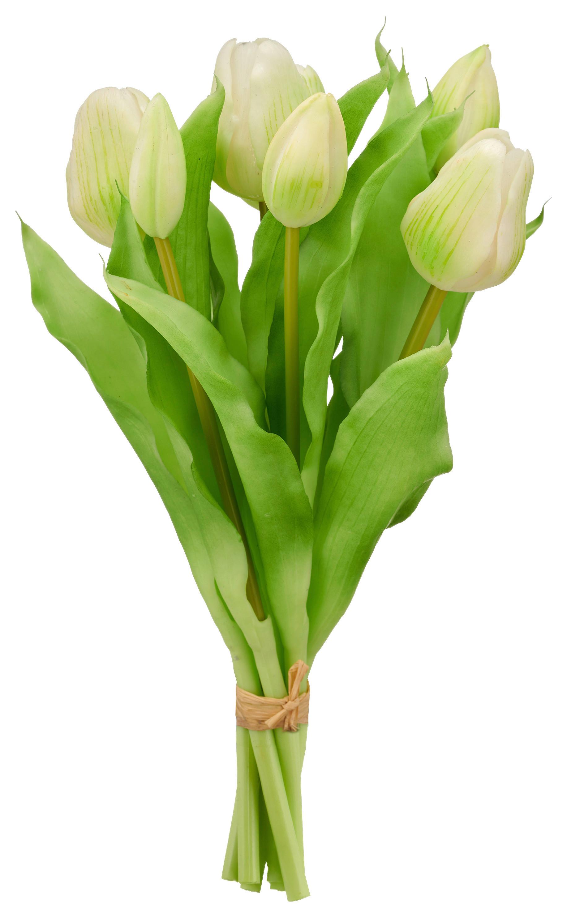 Tulpe Grün/weiss/gelb - Weiss/Grün, Konventionell, Kunststoff/Metall (31qm) - Mömax