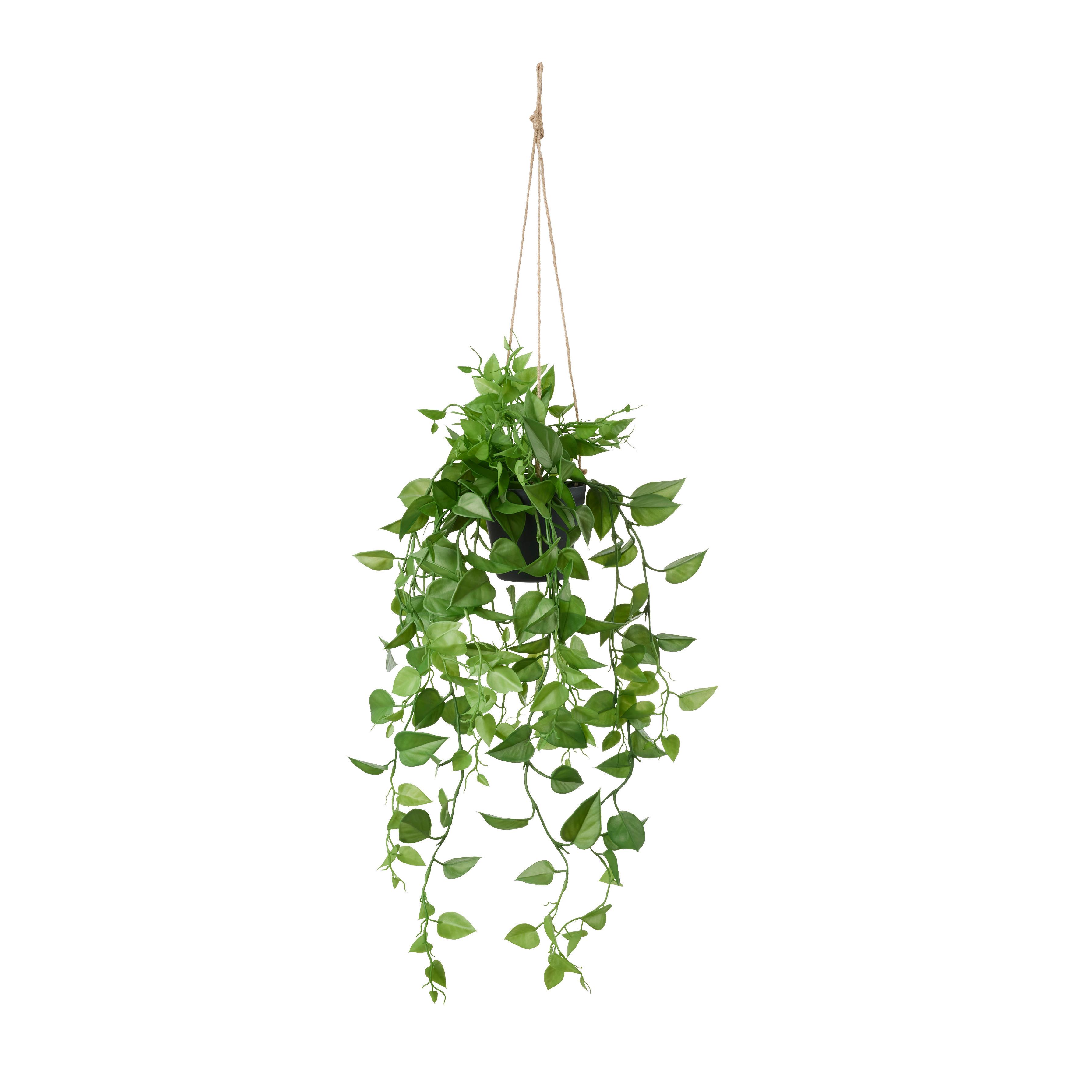 Kunstpflanze Philodendronhänger in Grün - Schwarz/Grün, Modern, Kunststoff (75cm) - Modern Living