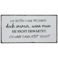 Dekoschild Franzi Verschiedene Sprüche - Grau, LIFESTYLE, Metall (40/20cm) Dekoschild Franzi Verschiedene Sprüche - Grau, LIFESTYLE, Metall (40/20cm)