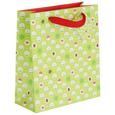 Geschenktasche Jana Bunt - Rot/Hellgrün, Papier (18/21/8cm)