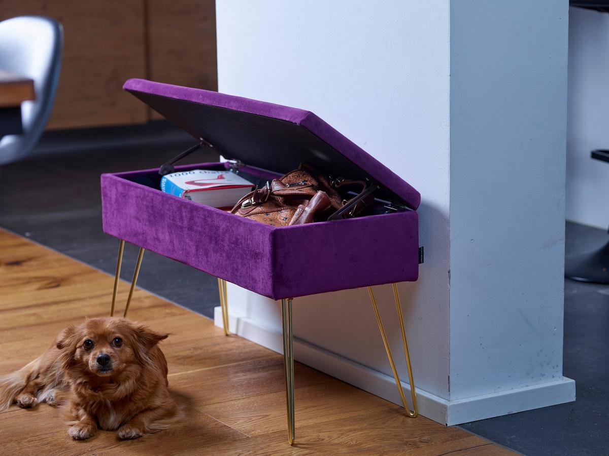 Hockerbank Scarlett Beere Samt mit Stauraum - Beere/Goldfarben, Design, Textil/Metall (75/42/30cm) - Echtwerk