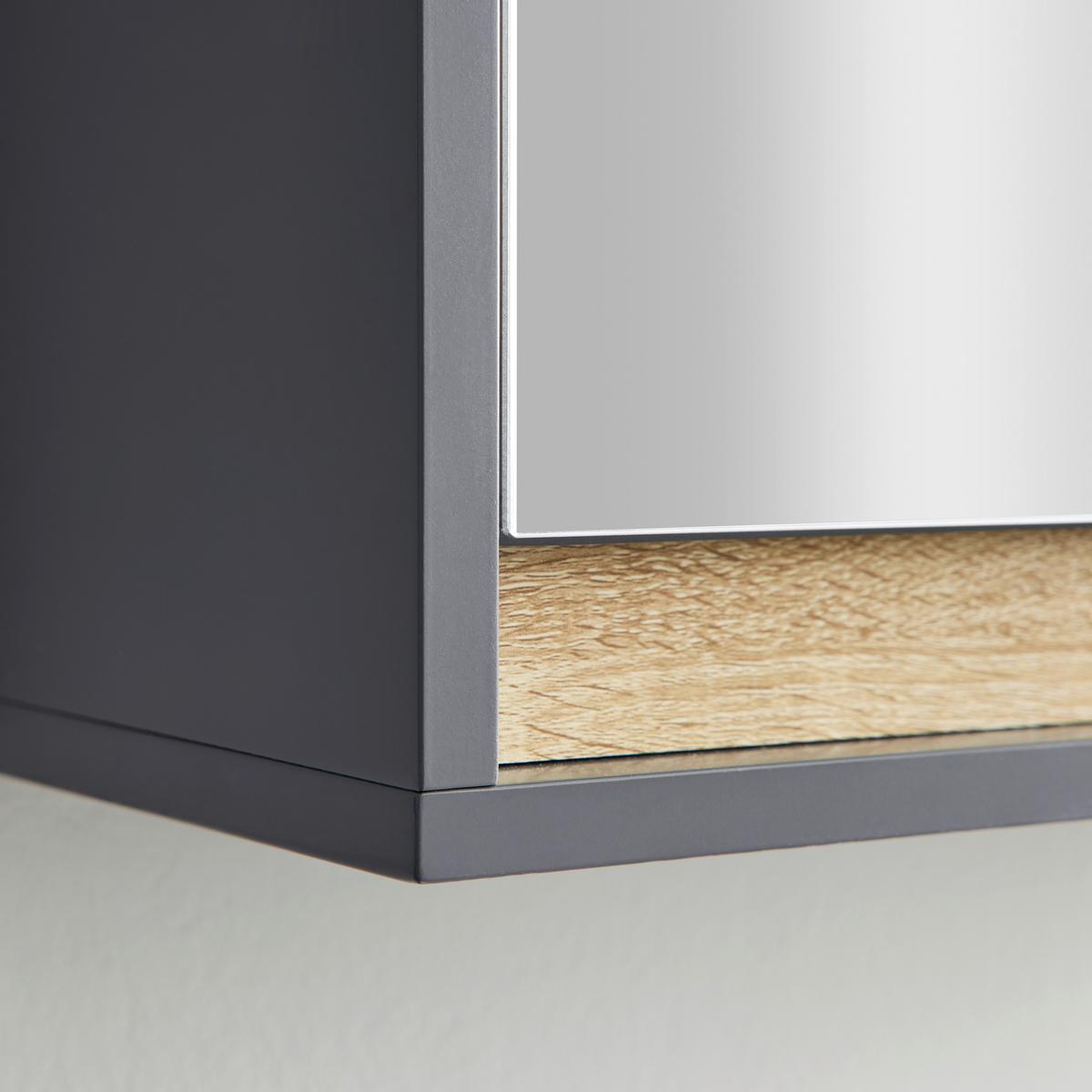 Faliszekrény Tükörrel Massimo - ezüst/sötétszürke, Modern, Üveg (60/70/18cm) - Bessagi Home