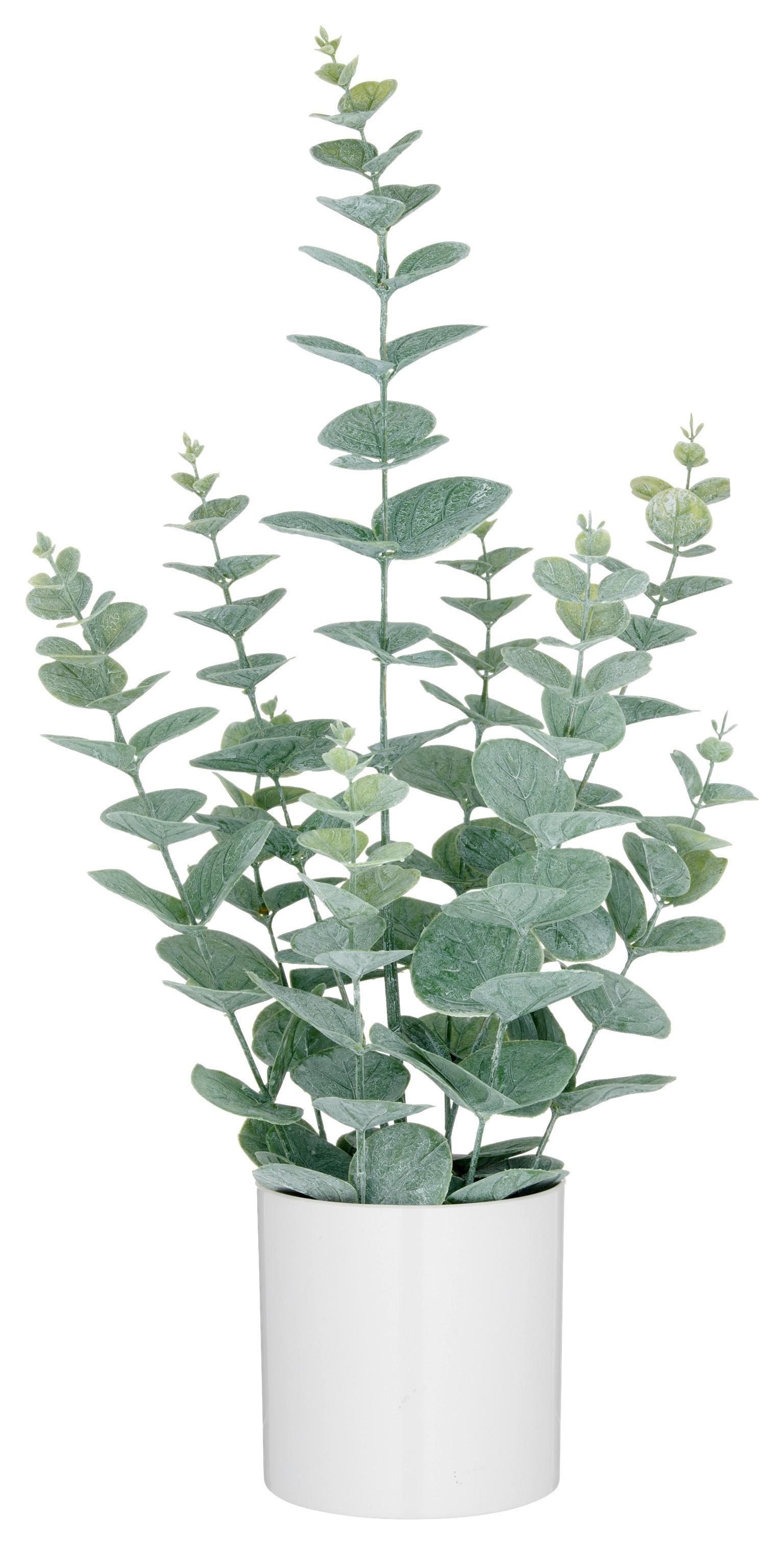 Kunstpflanze Eukalyptus I Grau/Grün - Weiß/Grau, LIFESTYLE, Kunststoff (52cm) - Mömax