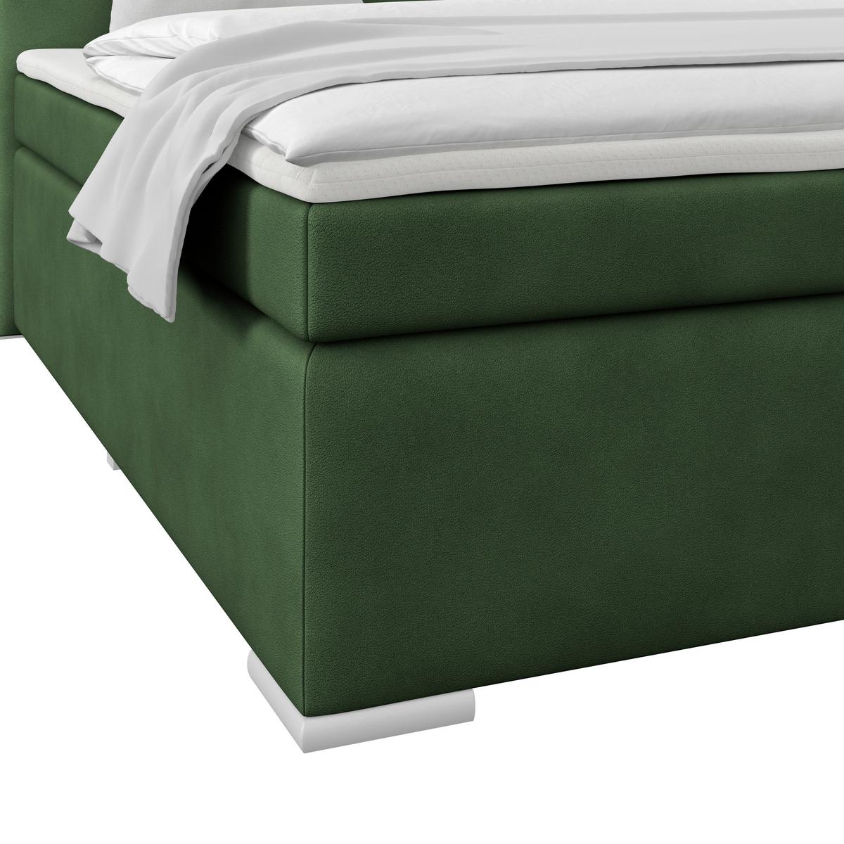 PAT BOXSPRING MIRA 1 - verde închis, Basics, plastic/lemn (160/200cm)