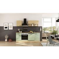 Küchenblock Cara m. Geräten Schilfgrün - Schilfgrün/Schwarz, Trend, Holzwerkstoff/Metall (220cm) - FlexWell