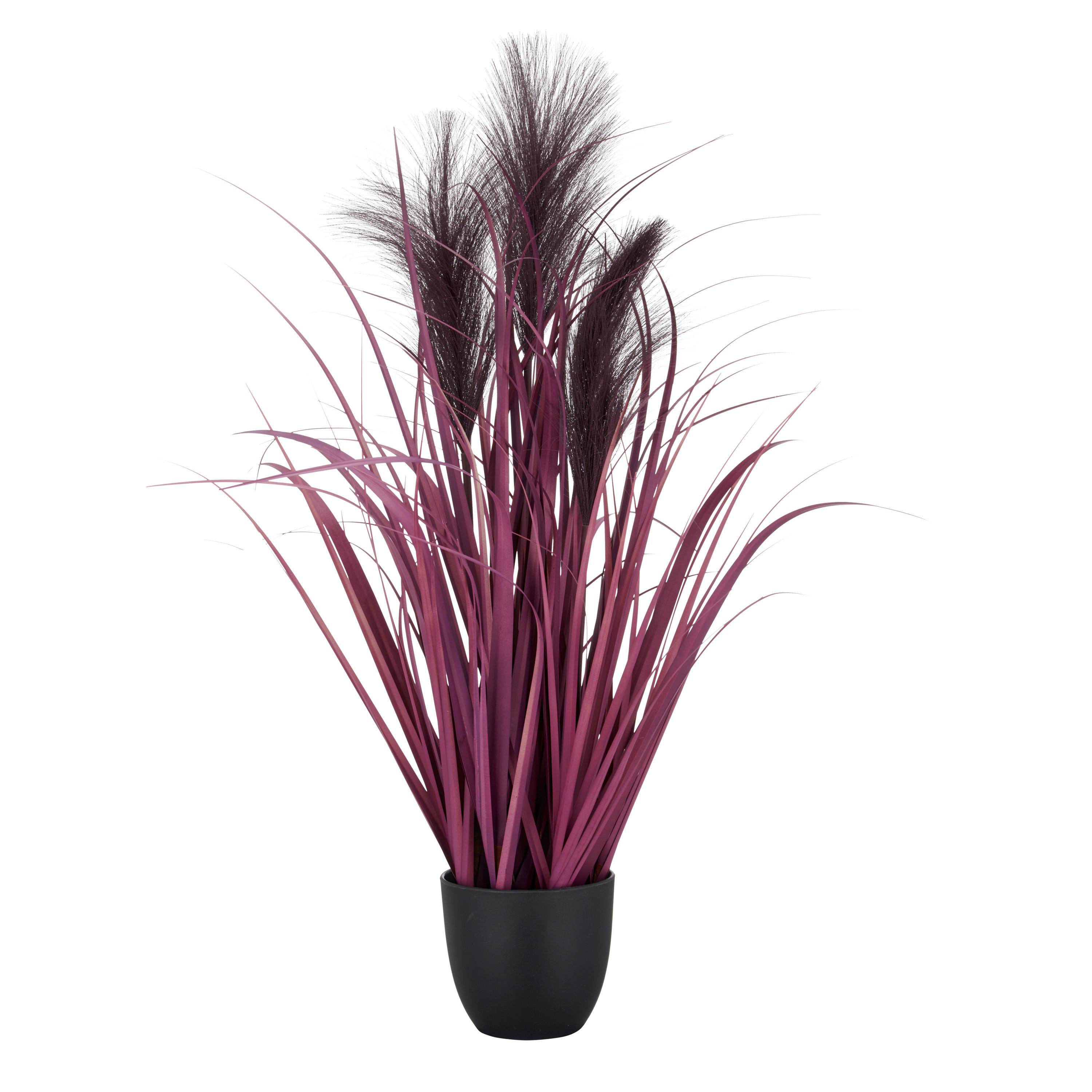 Umetna Rastlina Pampasgras I - lila/črna, Basics, umetna masa (10,5/65cm) - Mömax