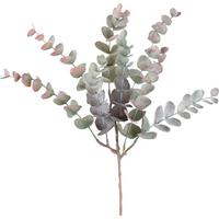 Dekor Gally Eukaliptusz - lila/barna, Konventionell, műanyag (48cm) - Modern Living