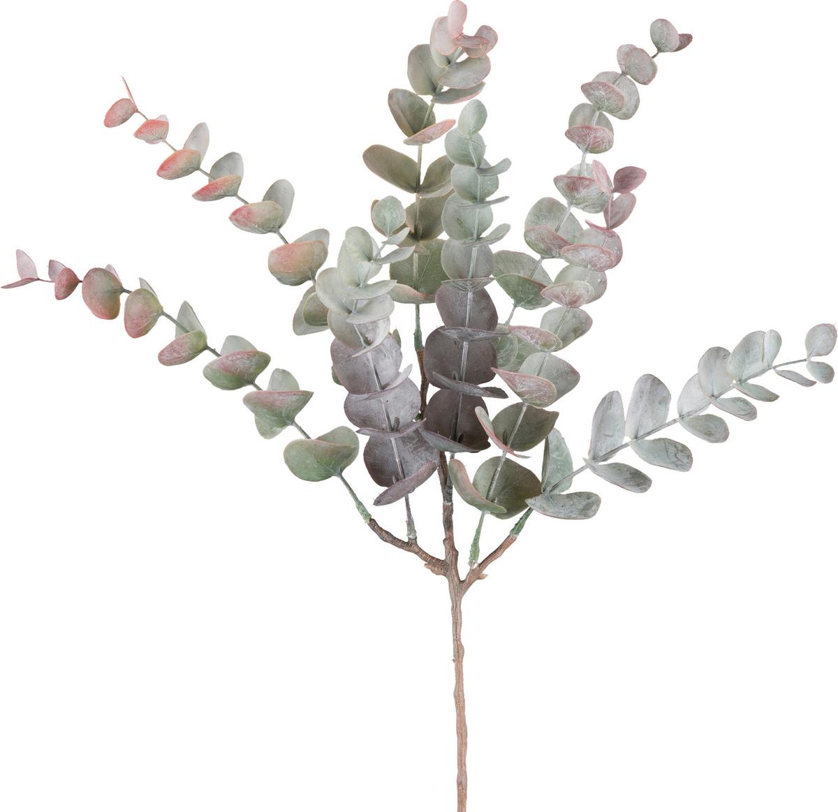 Dekor Gally Eukaliptusz - lila/barna, Konventionell, műanyag (48cm) - Modern Living