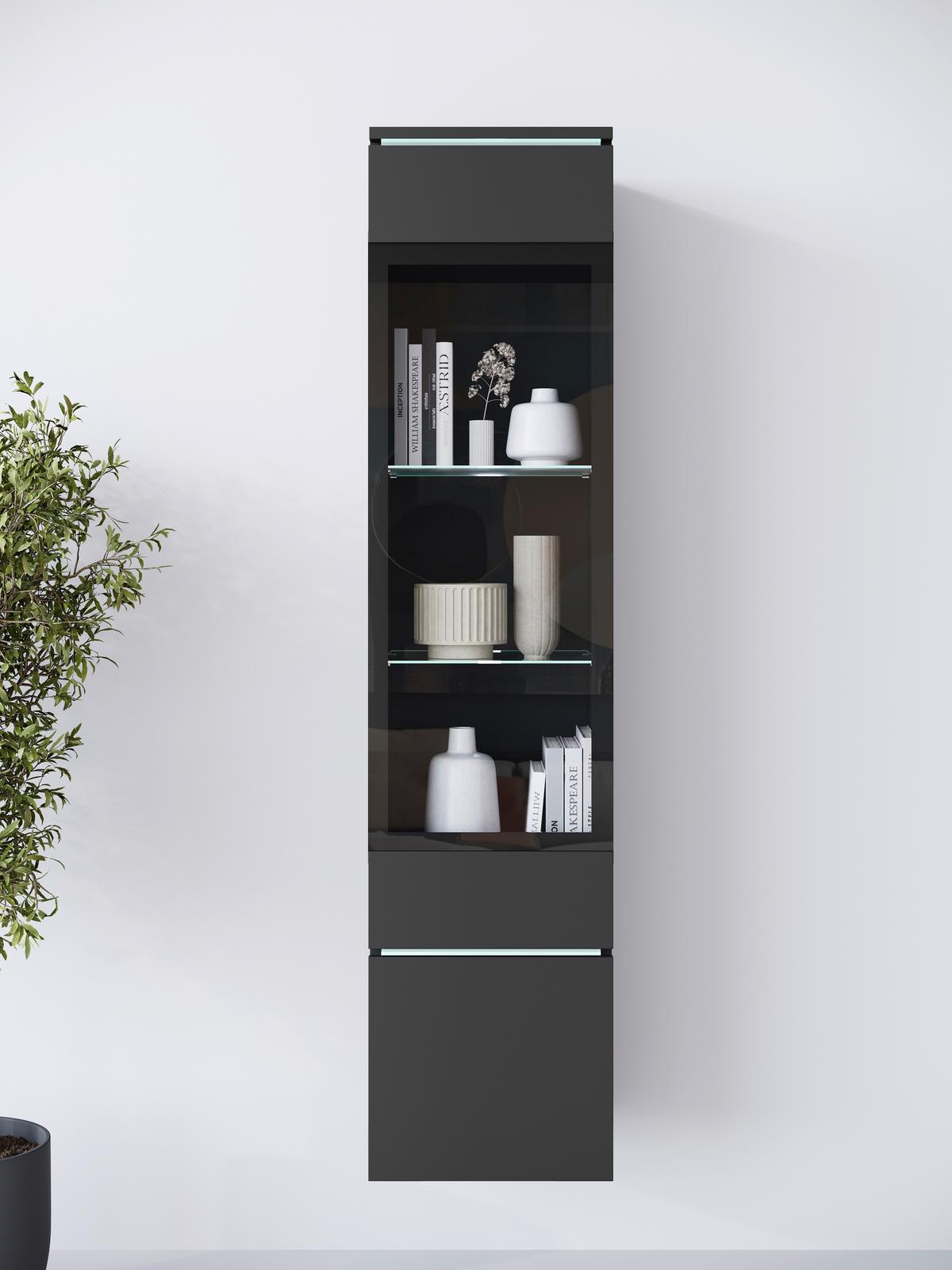 Vitrina Vera 002, Mat Črna - črna/siva, Design, umetna masa/steklo (30/130/33cm) - Livetastic