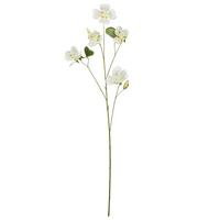 Dekozweig Bauhinia I Weiß/Braun - Weiß/Braun, KONVENTIONELL, Kunststoff (108cm) - Mömax