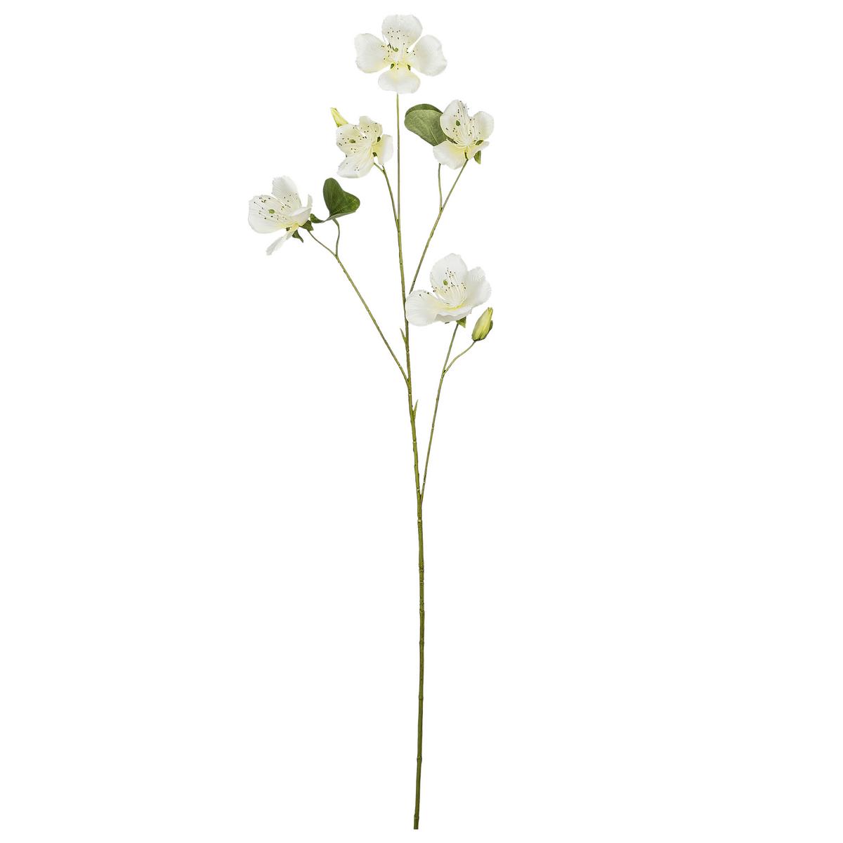 Dekozweig Bauhinia I Weiß/Braun - Weiß/Braun, KONVENTIONELL, Kunststoff (108cm) - Mömax