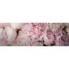 Slika Na Platnu Marcus - roza/svetlo roza, Basics, leseni material (150/50/2.50cm) - Modern Living