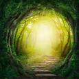 Üvegkép Tunnel In The Forest - multicolor, modern, üveg (30/30/2cm) - MÖMAX modern living