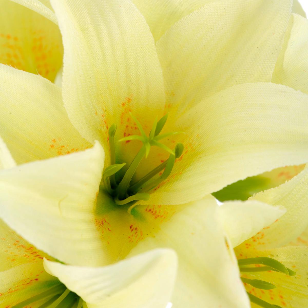 Lilie I Grün/Hellgelb ca. 78cm - Hellgelb/Grün, Basics, Kunststoff/Textil (78cm) - Mömax