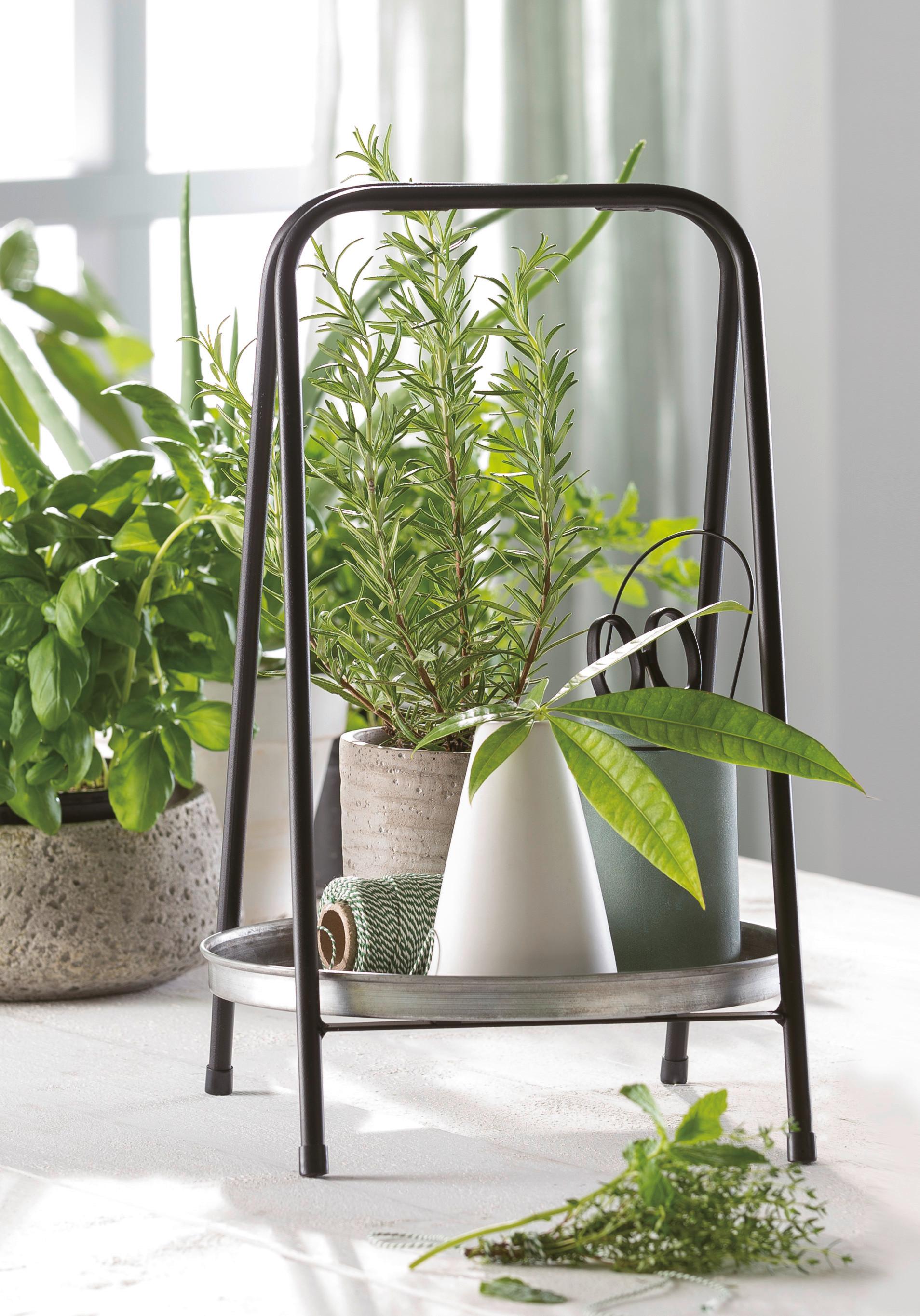 Dekor Tálca Zink - fekete, Modern, fém (25.5/25.5/39cm) - Modern Living