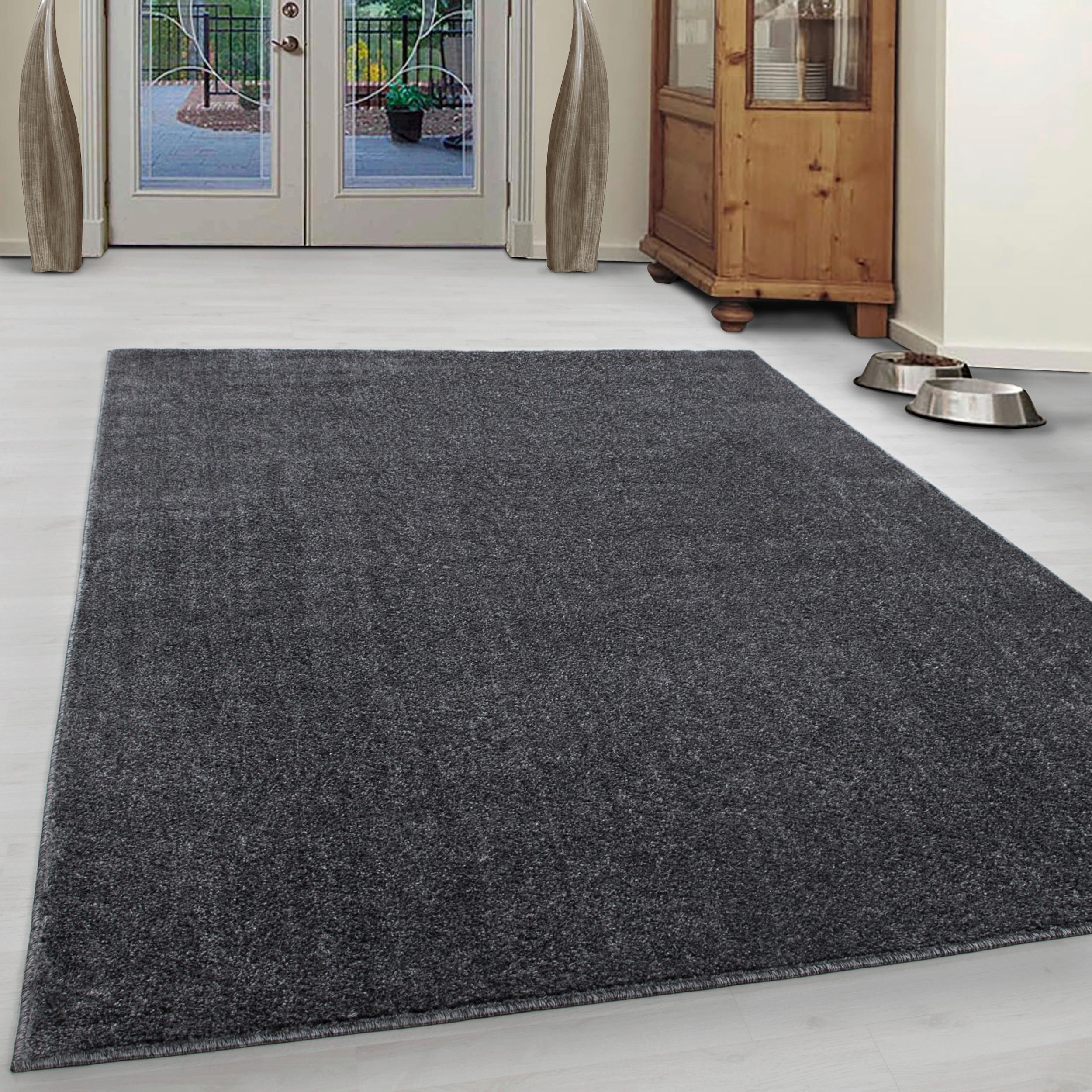Preproga Z Visokim Florom Ata, Siva, 140x200cm - siva, Konvencionalno, tekstil (140/200cm) - Novel