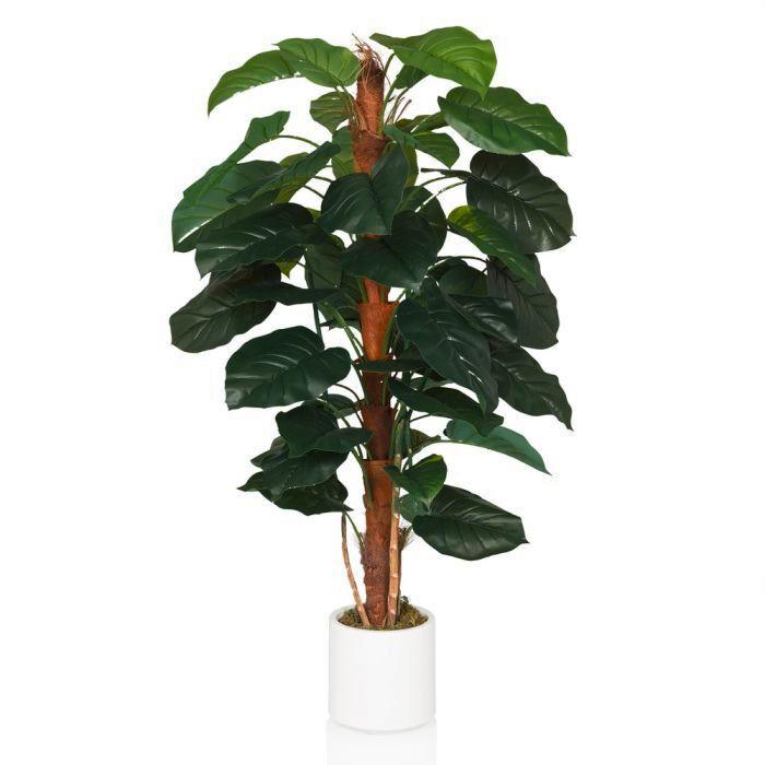Umetna Rastlina Epipremnum - zelena/bela, Moderno, umetna masa (67/155/60cm) - MID.YOU