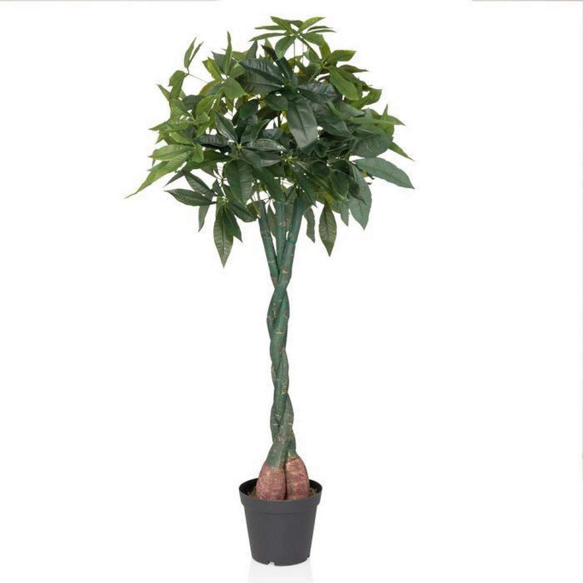 Umetna Rastlina Pachira - črna/zelena, Moderno, umetna masa (66/160/77cm) - MID.YOU