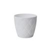 Okrasni Lonček Grow Complete Eco 15 - bela, Konvencionalno, umetna masa (14,8/13,7cm) - Mömax