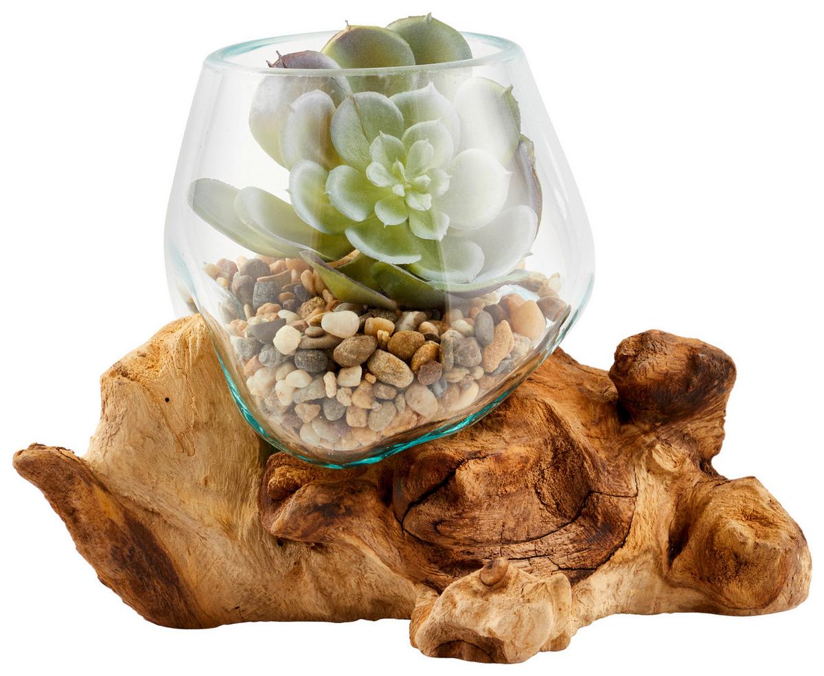 WAZON NATURAL LIVING - przejrzysty/przezroczysty, Natur, drewno/szkło (12/15-16cm) - Ambia Home