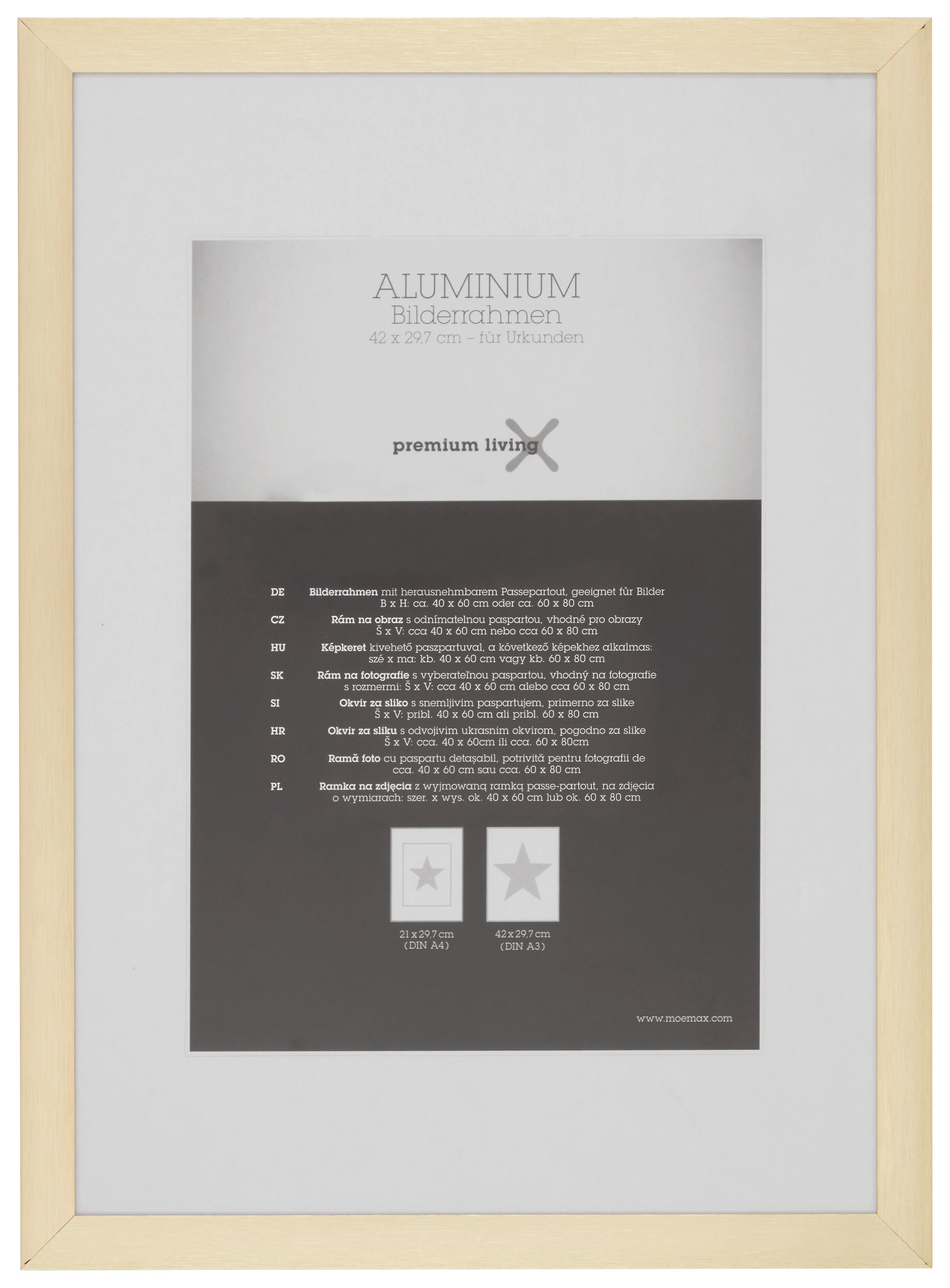 Okvir Za Slike Aluminium - zlate barve/barve medenine, Romantika, kovina (32,8/45,1/2.2cm) - Premium Living