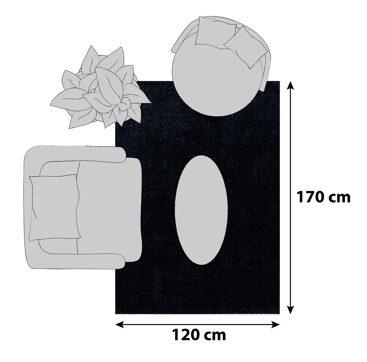 Preproga Z Visokim Florom Ata, Antracit, 120x170cm - antracit, Design, tekstil (120/170cm)