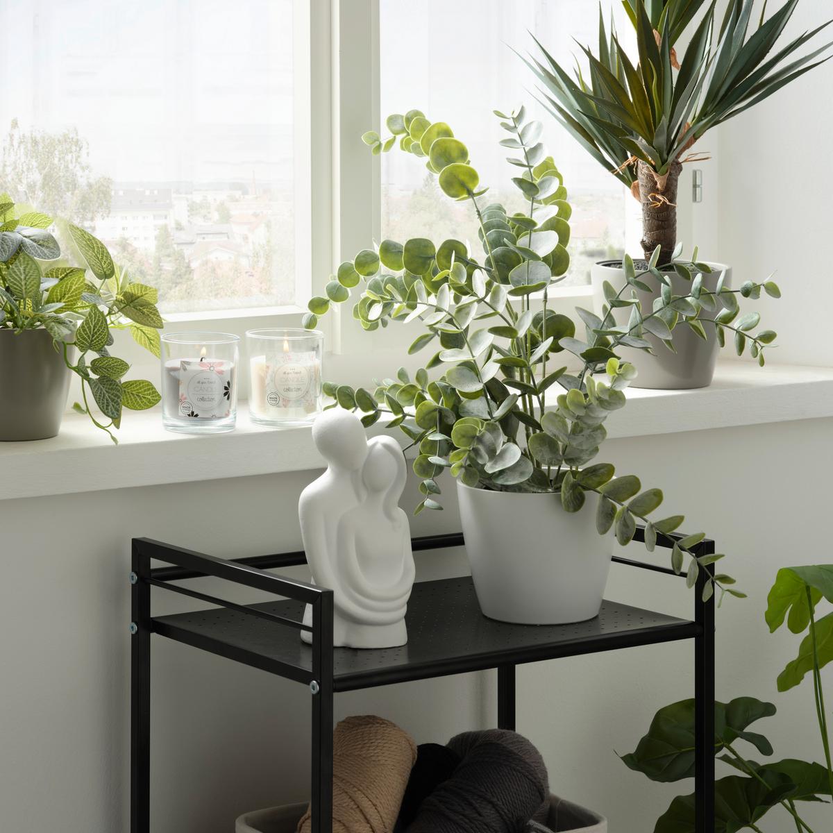 Umetna Rastlina Eucalypthus I  -Ext- - črna/siva, Basics, umetna masa (53cm) - Modern Living