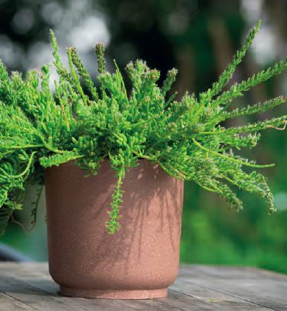 Kaspó Átm./ma.: Kb. 17/16,8cm Ecocare - barna, Lifestyle, műanyag/fa (17/16,8cm) - ecoTree