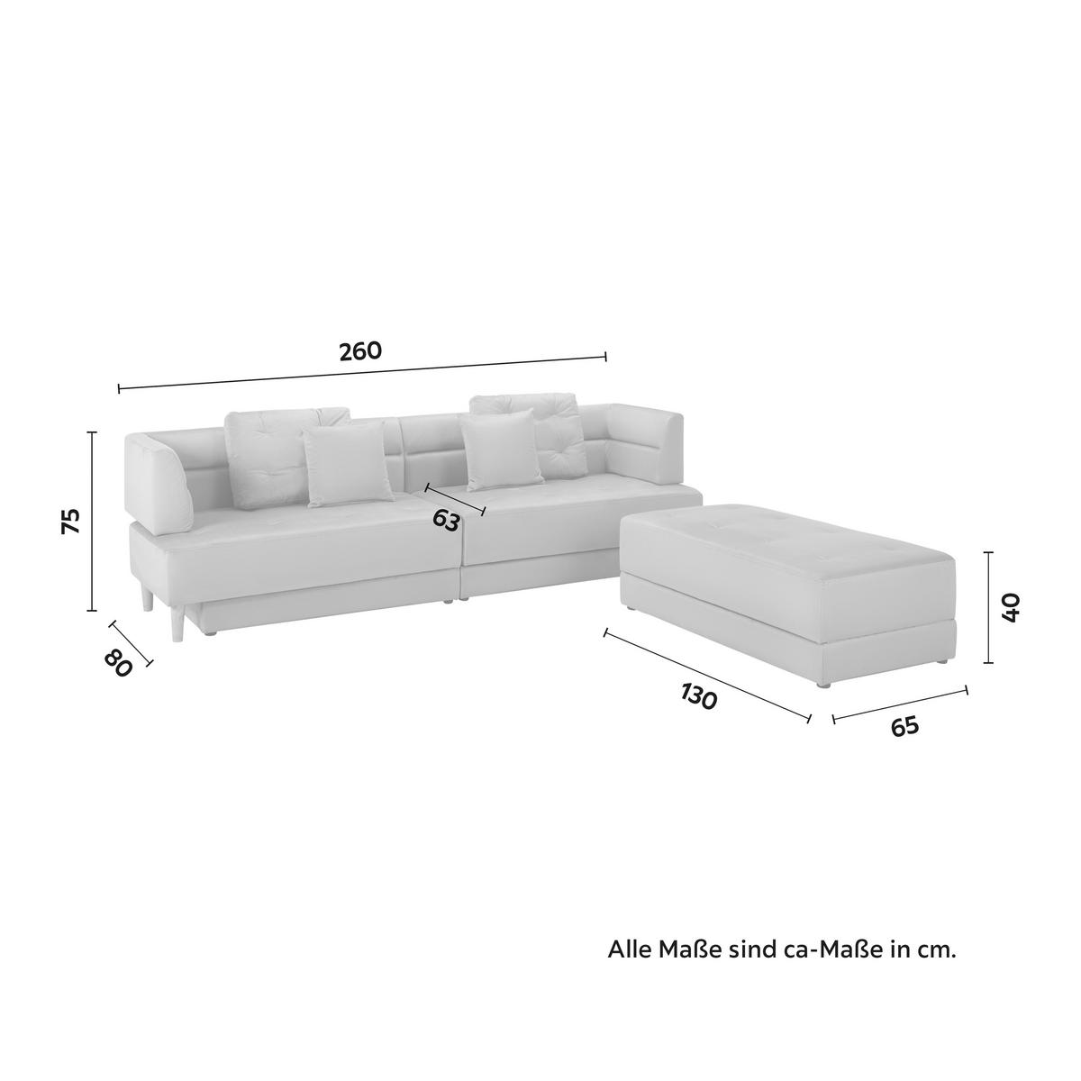 Wohnlandschaft Eliza Hellgrau Samt - Hellgrau/Schwarz, MODERN, Holz/Kunststoff (260/75/210cm) - Bessagi Home