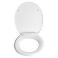 Deska Za Wc-školjko Stones -sb- - večbarvno, Moderno, umetna masa (38/42/4,5cm) Deska Za Wc-školjko Stones -sb- - večbarvno, Moderno, umetna masa (38/42/4,5cm)