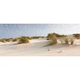 Glasbild Windy Sand, ca. 50x125x2cm - Multicolor, MODERN, Glas (50/125/2cm) - MÖMAX modern living