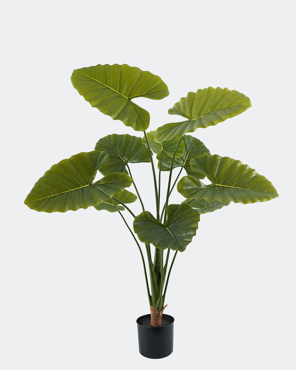 Műnövény Glen - fekete/zöld, műanyag (70/70/110cm)