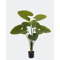 Műnövény Glen - fekete/zöld, műanyag (70/70/110cm)