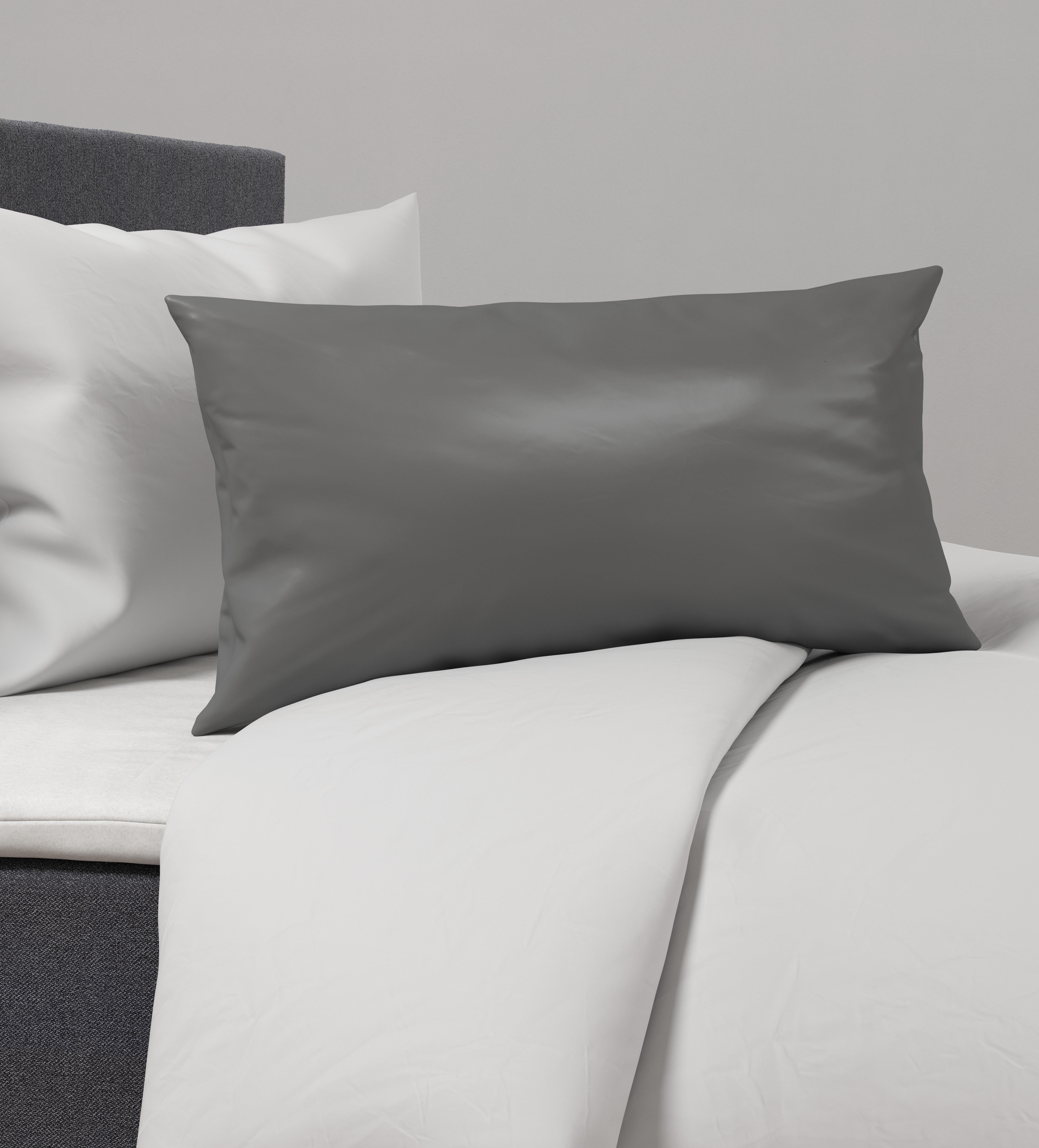 Prevleka Blazine Alex Uni - barve skrilavca, Moderno, tekstil (40/80cm) - Premium Living