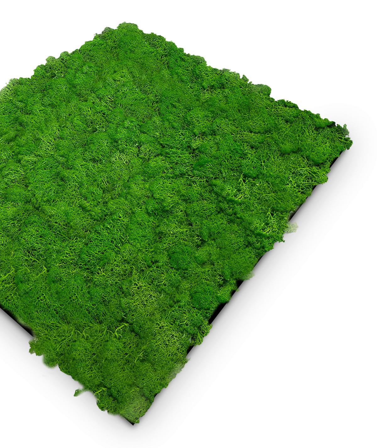 PANEL AKUSTYCZNY 11101 RICH GREEN - zielony, Konventionell, materiały naturalne (52/52/4cm) - Jangal