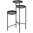 Suport Înalt Flori Top 22564 - negru, Modern, metal (45/77/45cm) Suport Înalt Flori Top 22564 - negru, Modern, metal (45/77/45cm)