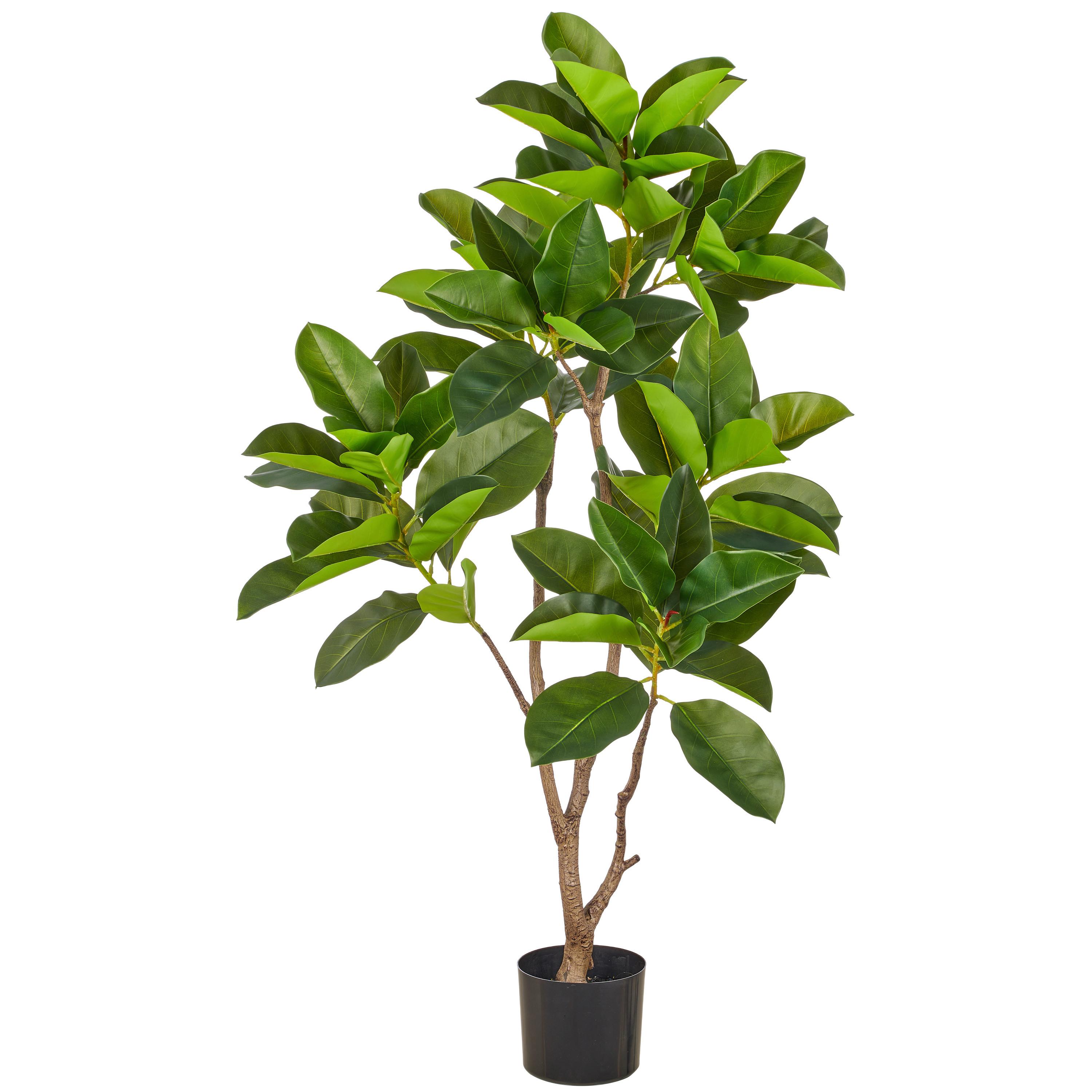 Kunstpflanze Ficus Altissima Grün/Braun/Schwarz - Schwarz/Braun, Basics, Kunststoff (130cm)