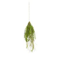 Kunstpflanze Columnea in Grün ca. 70cm - Grün, Kunststoff (70cm) - Modern Living