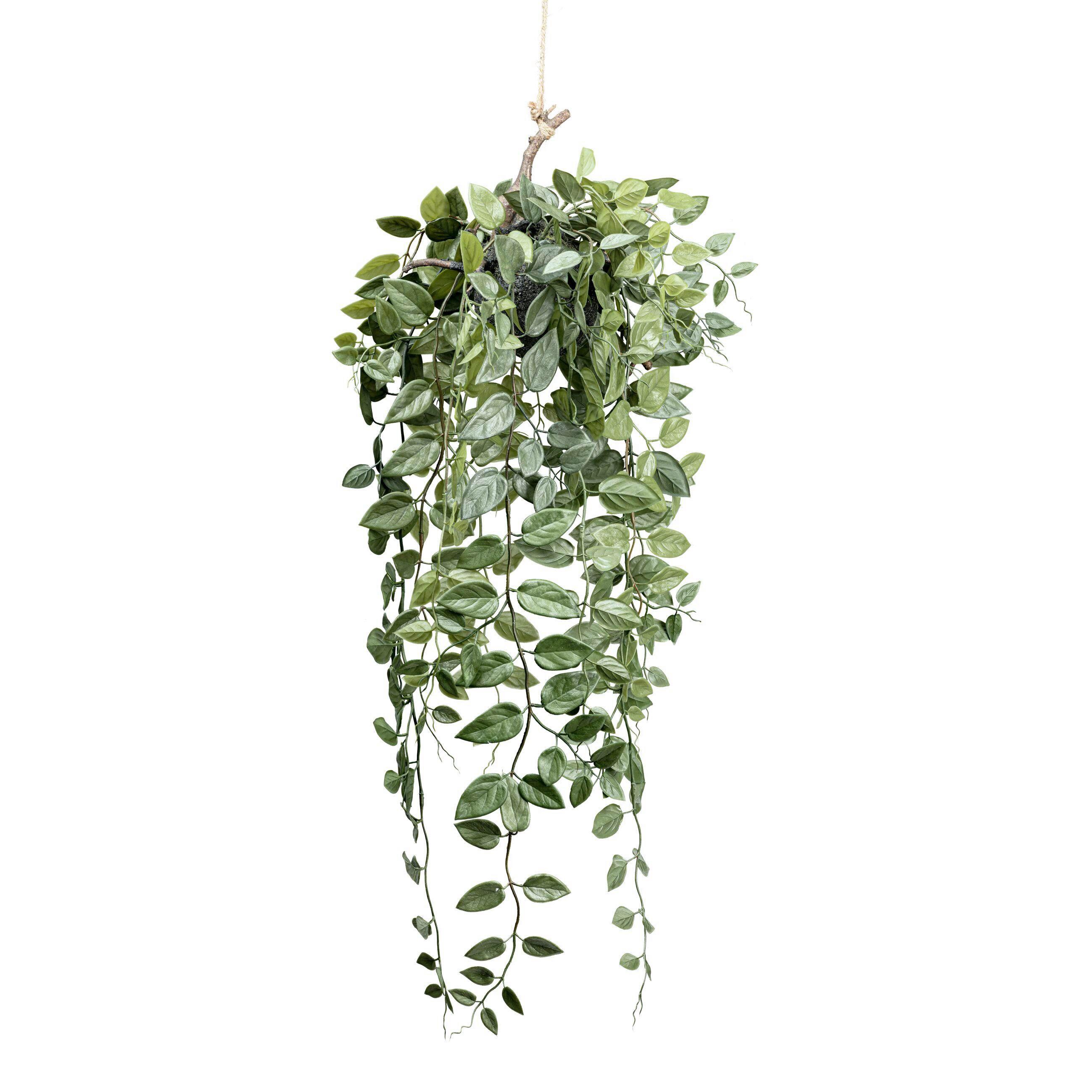 Kunstpflanze Grün - Grün, Basics, Kunststoff (75cm)