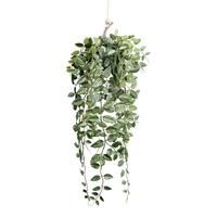 Kunstpflanze Grün - Grün, Basics, Kunststoff (75cm)
