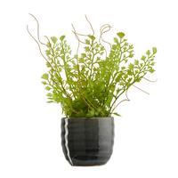 Übertopf Mood in Grau Ø ca. 6,5cm - Grau, Keramik (6,5/6,5cm) - Modern Living